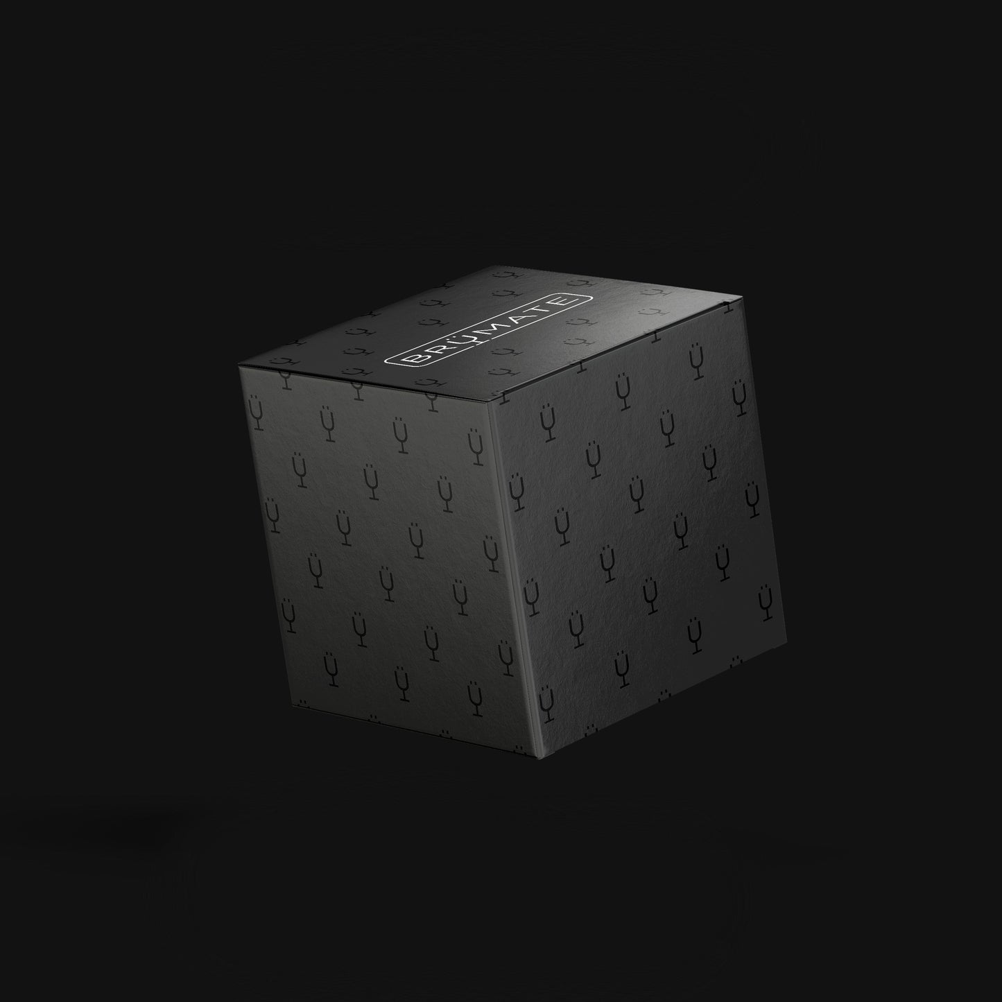 mystery-item-24-49-value-t4 Mystery-Box-FINAL.jpg